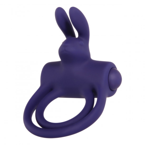 Adam & Eve Silicone Remote Control Rabbit Ring Vibrerende Cockring Paars