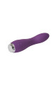 Flirts G-Spot Vibrator