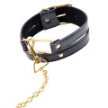 Fetish Gold Collar And Leash Halsband Zwart