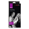 Playful Lover's Kit Anaal Kralen Paars