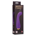 Entice Grace Vibrator Paars